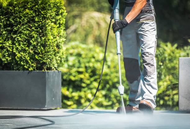 Animal Enclosure Cleaning in Timmonsville, SC